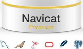 Navicat Premium 15.1.12 Crack With Registration Key Free Download 2020